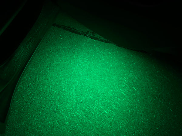 Grünes LED Licht Tesla Model 3, S, X und Y